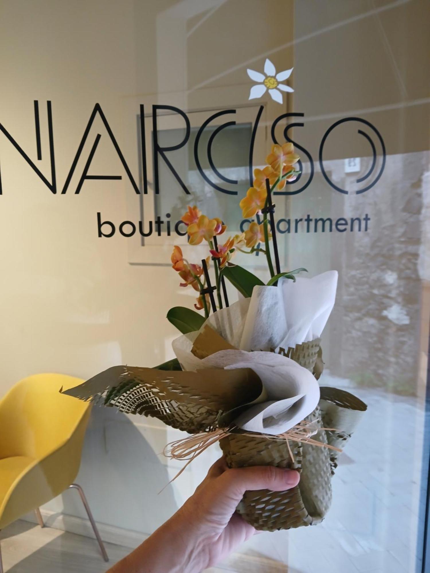أتشيريالي Narciso Boutique Apartment المظهر الخارجي الصورة